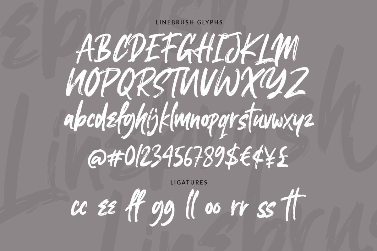 Linebrush - Rough Brush Font preview 8