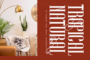 Winstgue Modern Vintage Serif, a Serif Font by timelesstype.co (Thumbnail 5 of 20)