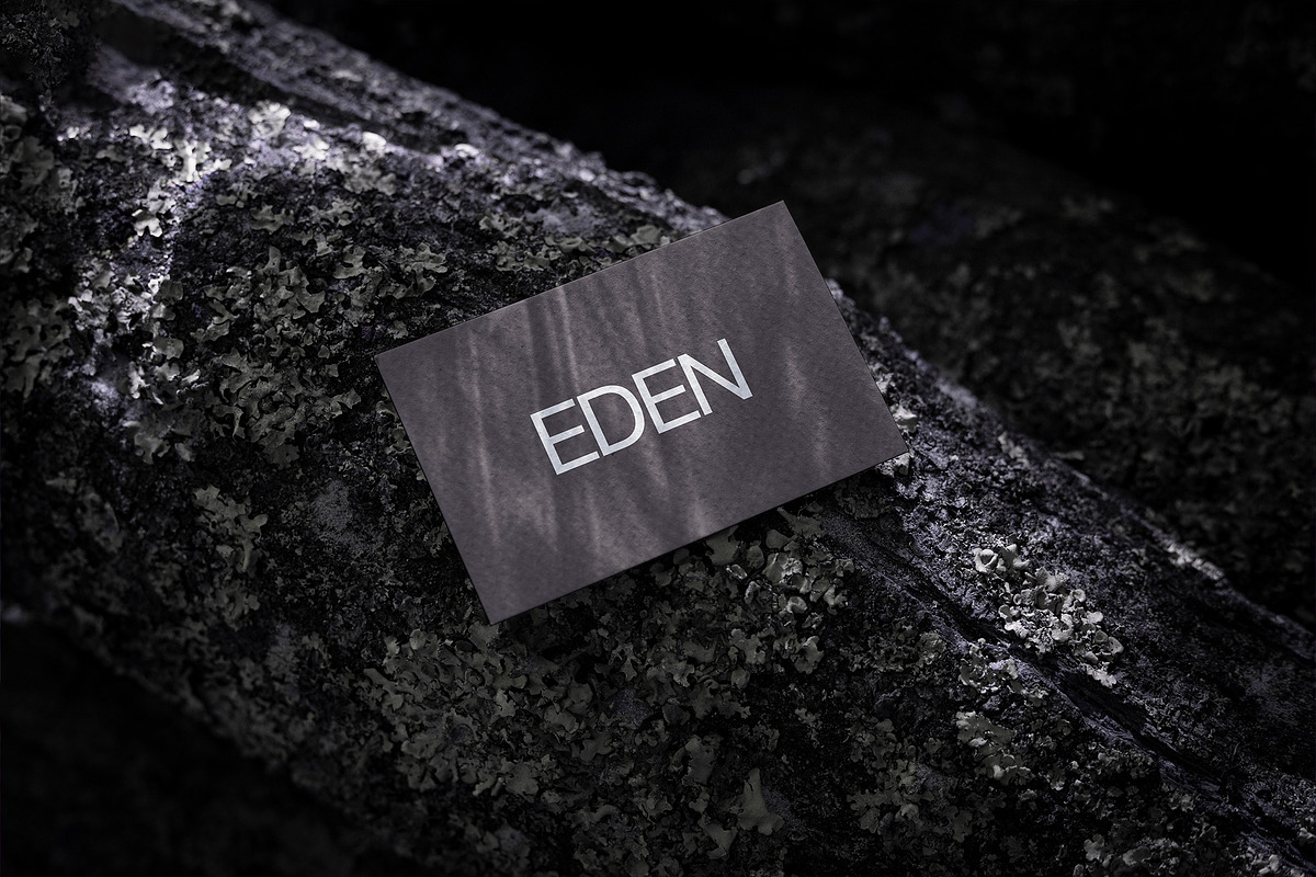 FORMAT EDEN BUSINESSCARD 07, a Product Mockup by Format Mockups (Photo 2 of 3)