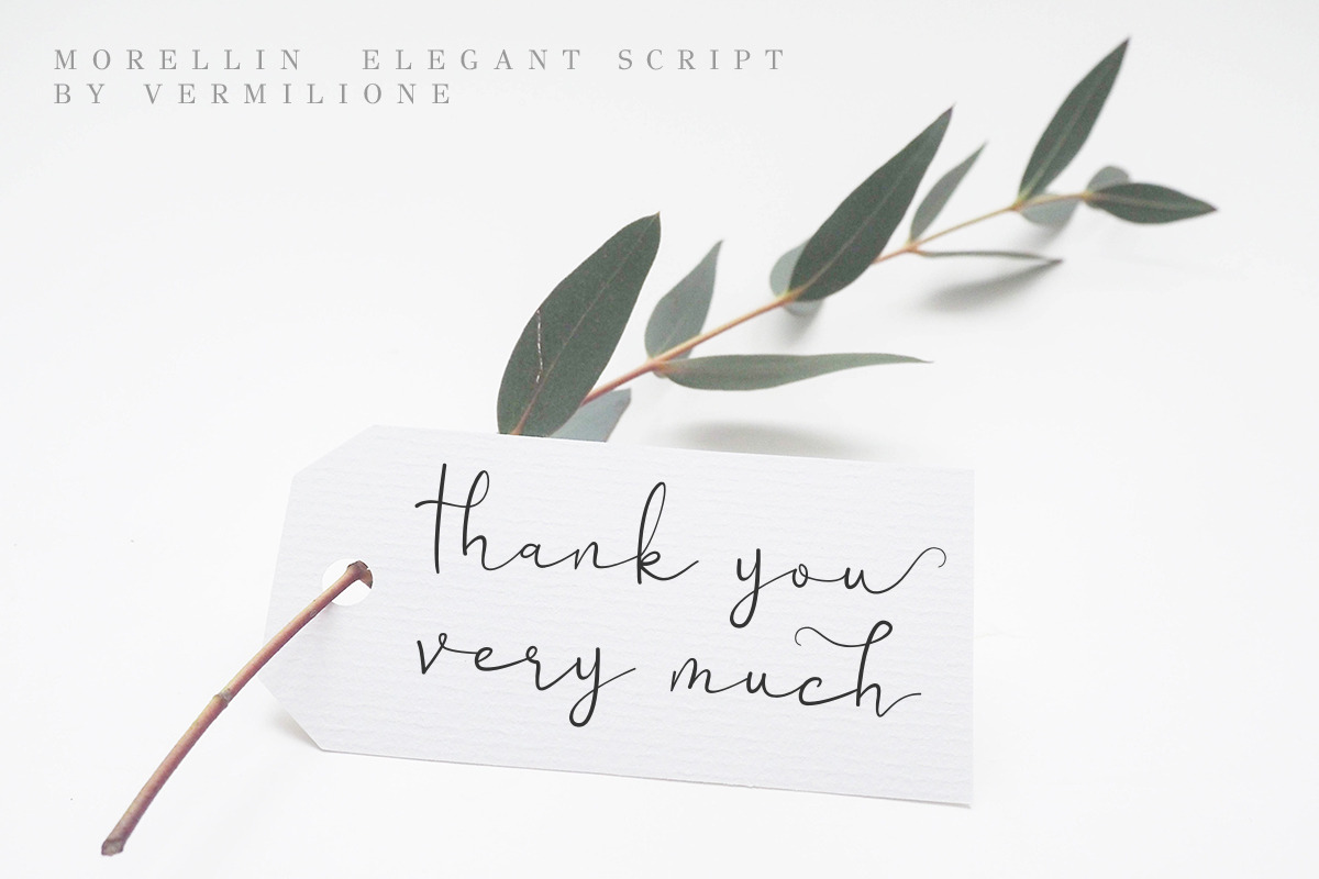 Morellin Elegant Script, a Script Font by Say Studio (Photo 16 of 16)