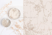 Beige botanical pattern collection, a Pattern Graphic by Anna Sokol (Thumbnail 11 of 16)