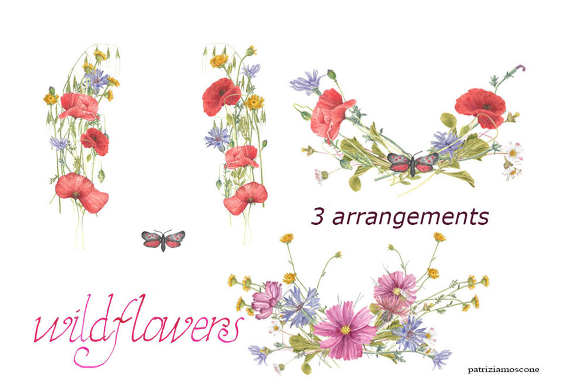 Wildflowers, an Illustration by patriziamoscone (Photo 5 of 10)