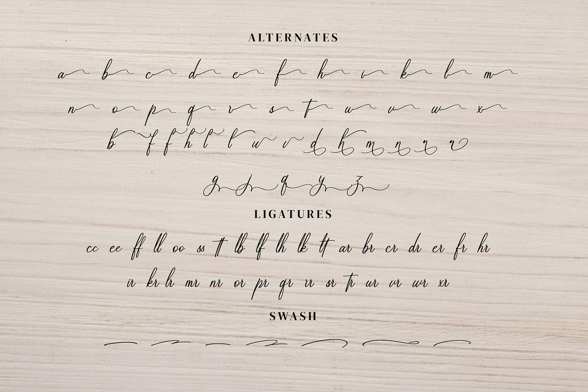 Shastenlly, a Script Font by Goresan Studio (Photo 12 of 15)