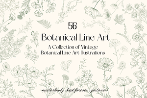 Botanical Line Art Illustrations