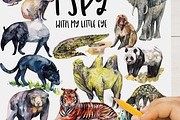 Asian animals activities, an Animal Illustration by ArtSpotVeronika (Thumbnail 5 of 7)