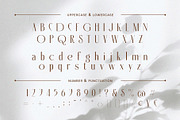 Helona - A New Modern Ligature Serif, a Serif Font by Almeera Std (Thumbnail 4 of 10)