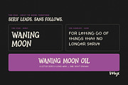 Cauldron Club - A Witchy Font Duo, a Handwritten Font by Mix Fonts (Thumbnail 6 of 12)