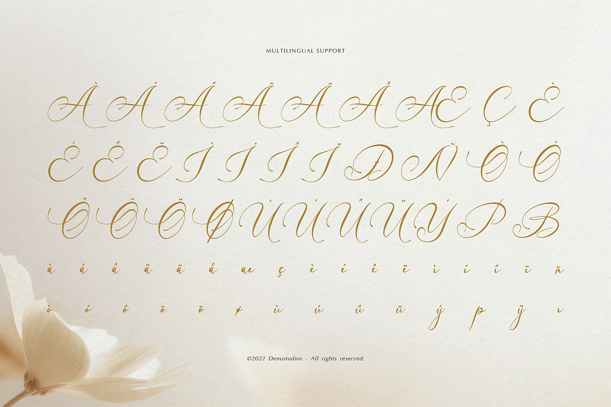 Sammybliss | Modern Calligraphy, a Script Font by Denustudios (Photo 12 of 12)