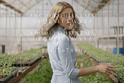 Royal Garden - Unique Semi Serif, a Serif Font by Schrifted Type (Thumbnail 7 of 8)
