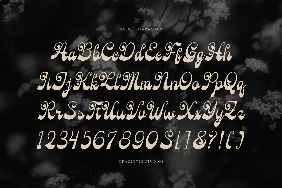 Rolling Rhapsody Handwritten Script, a Script Font by gracetype_studio (Photo 10 of 12)
