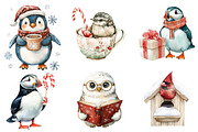 Christmas Bird Clipart, an Illustration by DreamArtGraphic (Thumbnail 3 of 5)