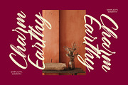 Nesthan Brother Modern Brush Font, a Script Font by Letterena Studios Script (Thumbnail 3 of 20)