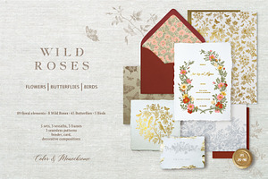 Wild Roses, a Decorative Illustration by olga.korneeva