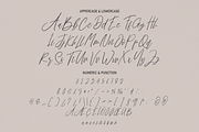 Brillian Signature | Script Font, a Script Font by Scratchones (Thumbnail 7 of 8)