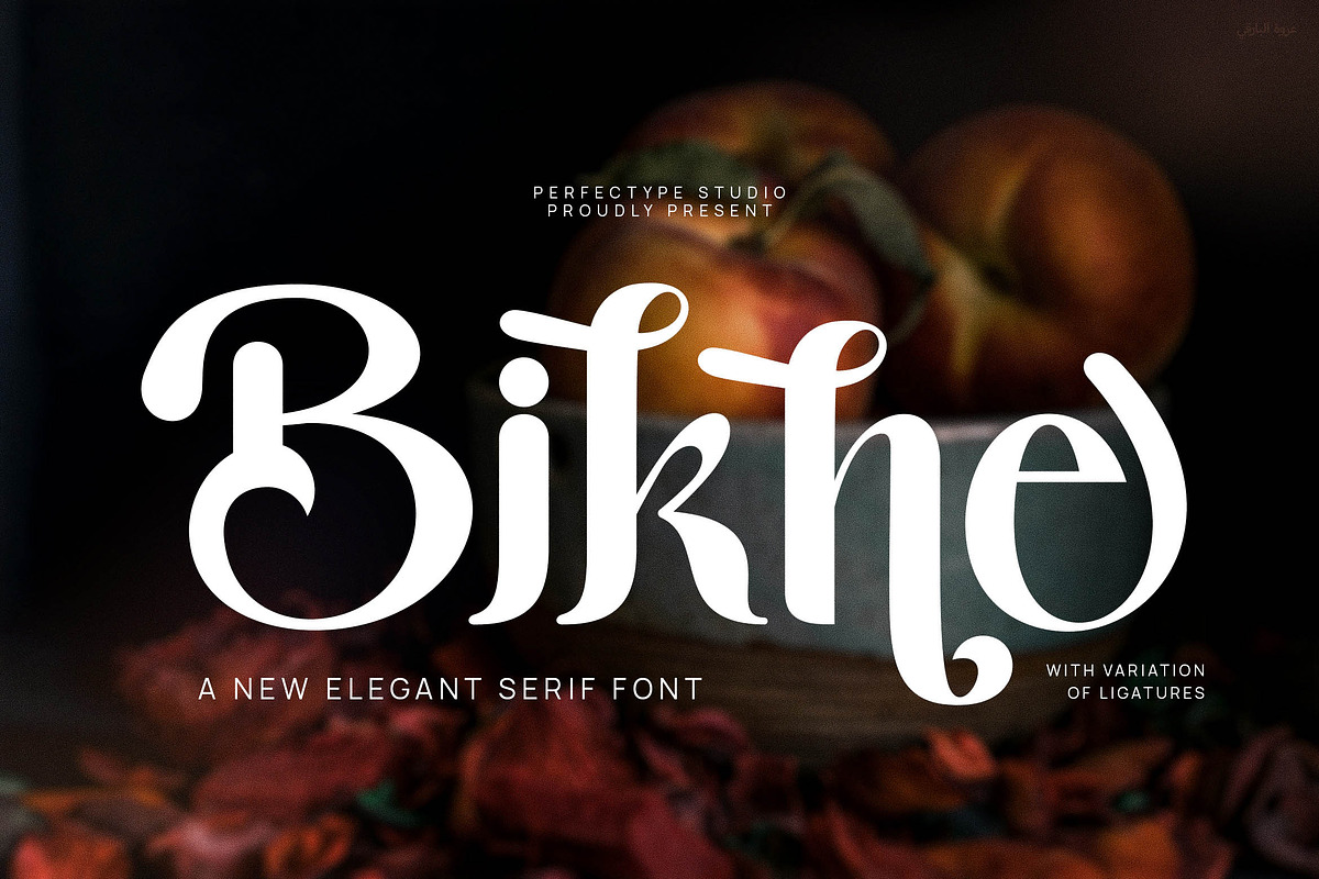 Bikne Unique Serif Display Font, a Serif Font by Perfectype (Photo 1 of 5)
