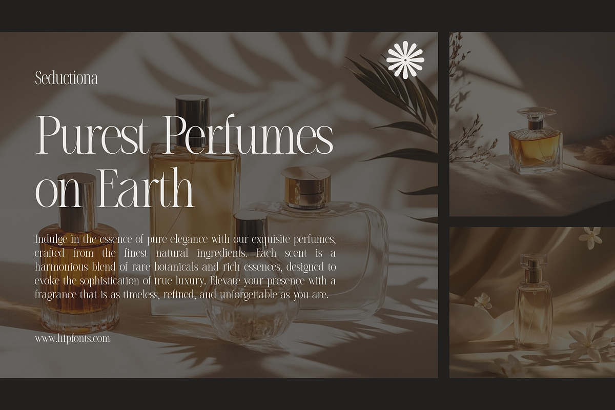 Seductiona - Luxury Ligature Type, a Serif Font by HipFonts (Photo 7 of 8)