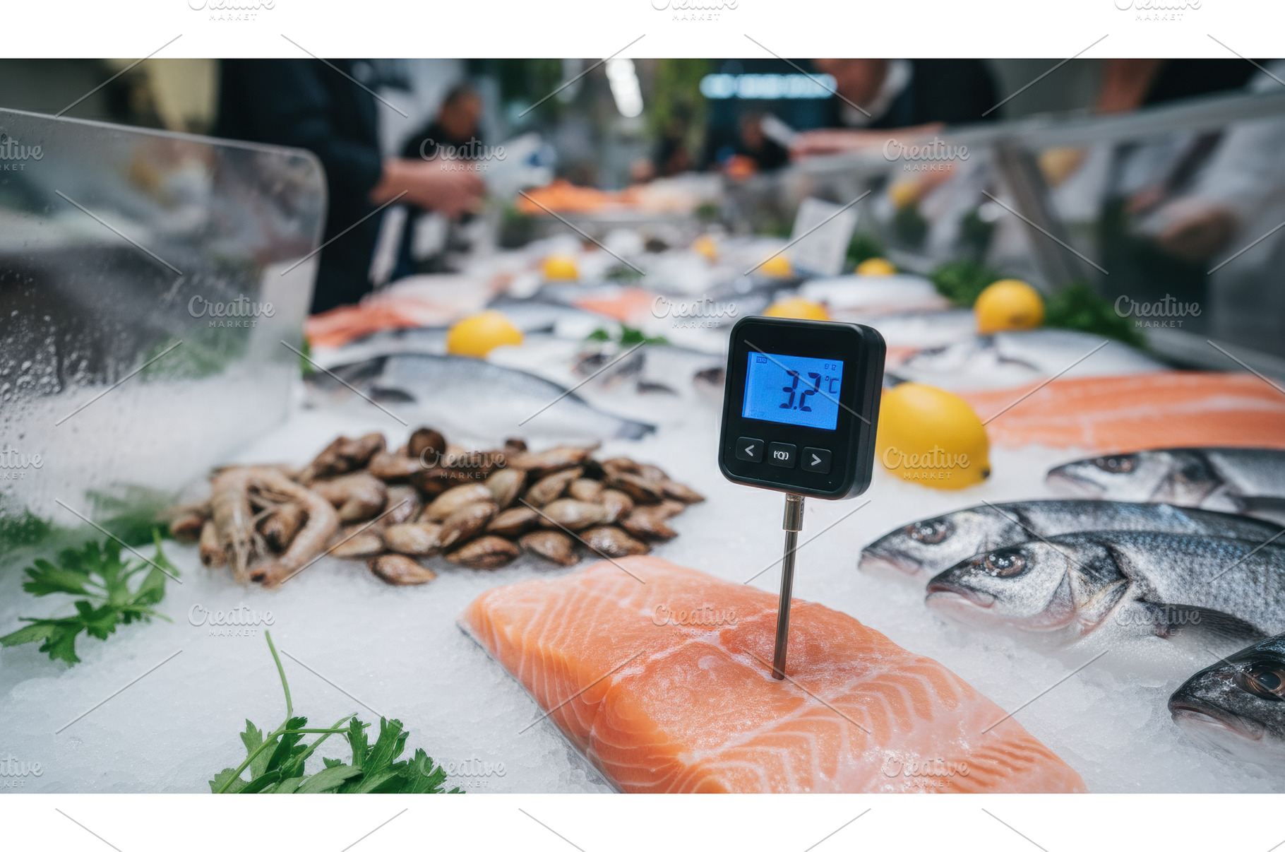 Salmon fillet on ice with digital, a Food & Drink Photo by Igor Tichonow
