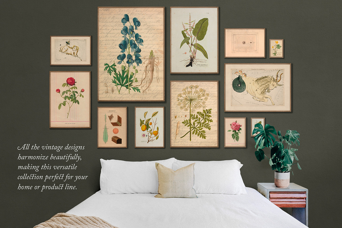 BUNDLE: 200 Vintage Art Prints, a Decorative Illustration by The Object Atlas (Photo 2 of 22)