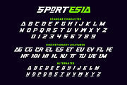 Sportesia - Sport Display, a Sans Serif Font by ahweproject (Thumbnail 2 of 8)