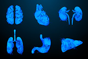 Smoky shapes of human organs, a Healthcare Illustration by Julvil (Thumbnail 1 of 7)