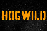Hogwild, a Font by Aerotype (Thumbnail 1 of 5)