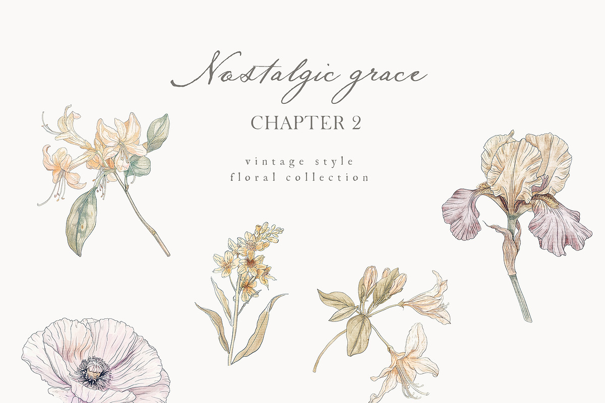 Vintage Floral Bundle, an Object Illustration by studioequinox (Photo 52 of 65)