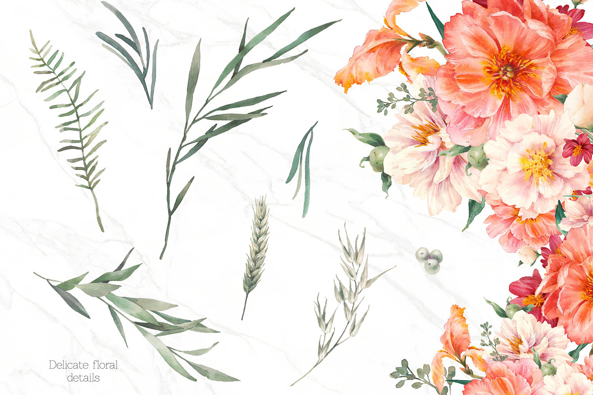 Peony chic, an Illustration by Eisfrei (Photo 5 of 6)