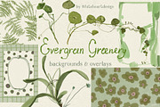 Greenery & Ferns PNG Illustrations, a Decorative Illustration by whiteheartdesign (Thumbnail 1 of 19)