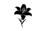 Black Lily Flower Vector Bundle, an Illustration by Designs_River (Thumbnail 23 of 51)
