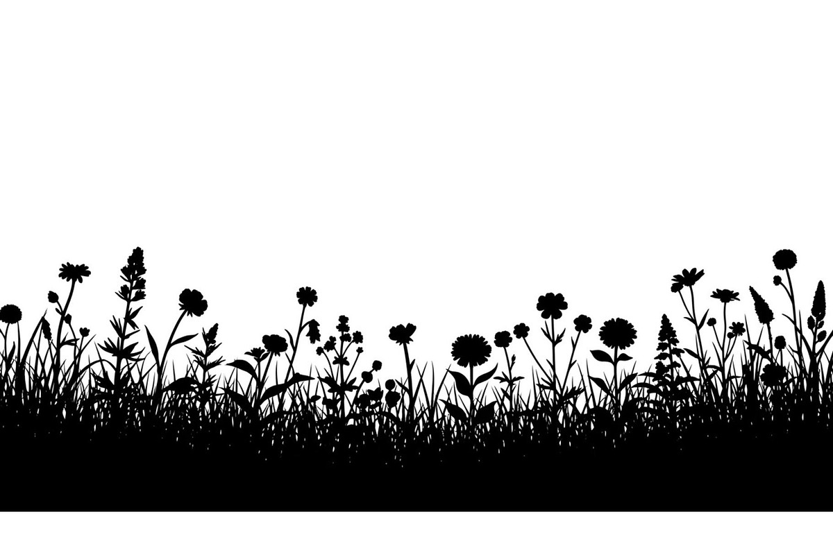 50 Garden Frame Silhouette Bundle, an Illustration by musafir_fashion (Photo 41 of 51)