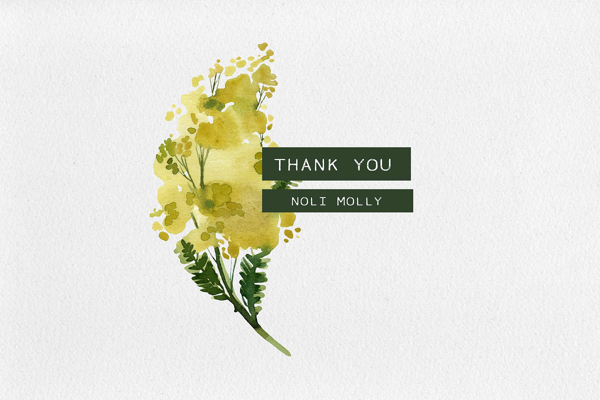 Mimosa. Yellow watercolor flowers., an Illustration by Noli Molly Store (Photo 6 of 6)