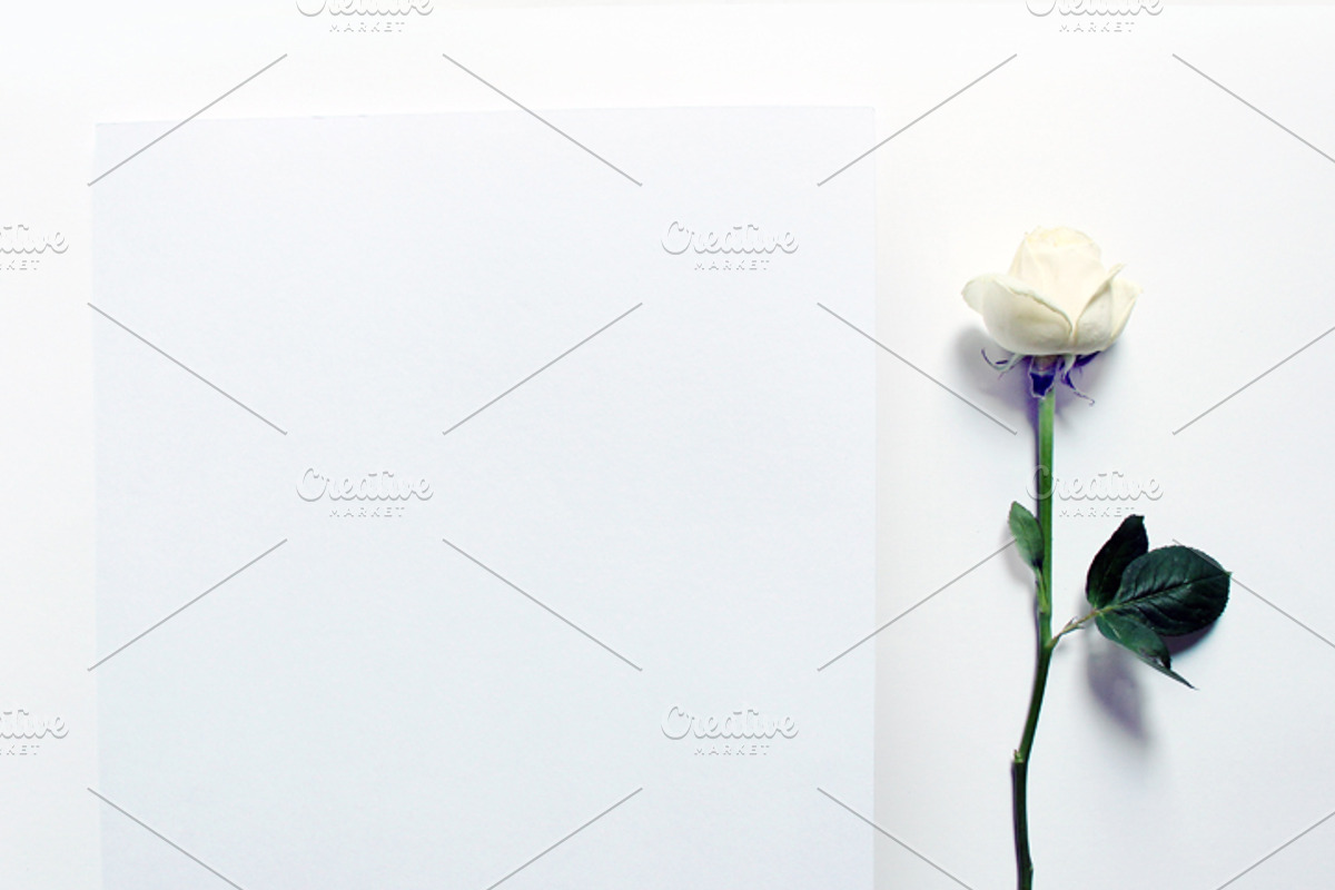 White Roses Stock Mockup, a Print Template by littleprince (Photo 5 of 6)