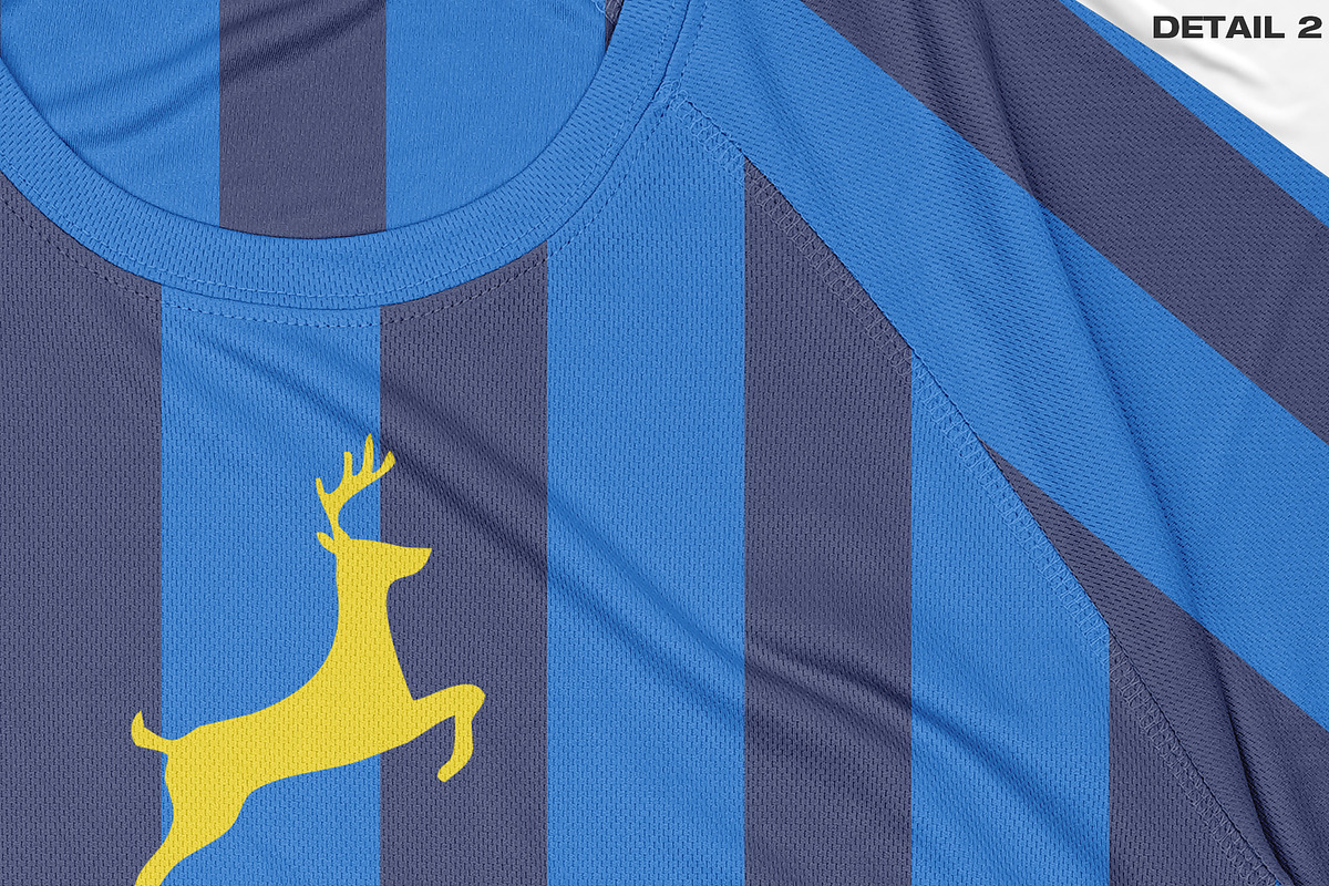 Jersey - Mockup, a Shirt Mockup by DaldSgh (Photo 13 of 15)