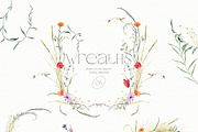Watercolor wildflower clipart bundle, an Illustration by CarmineType (Thumbnail 6 of 13)