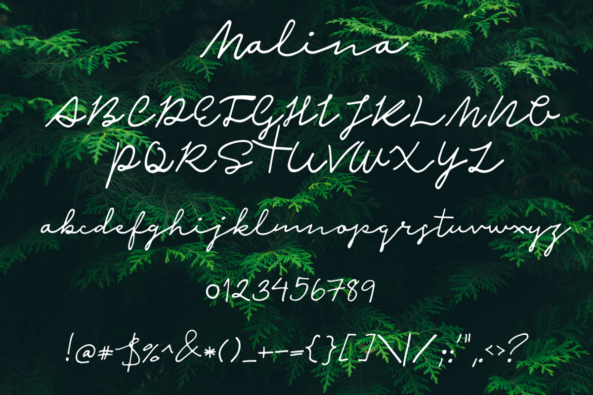 Malina | Script Font preview 6