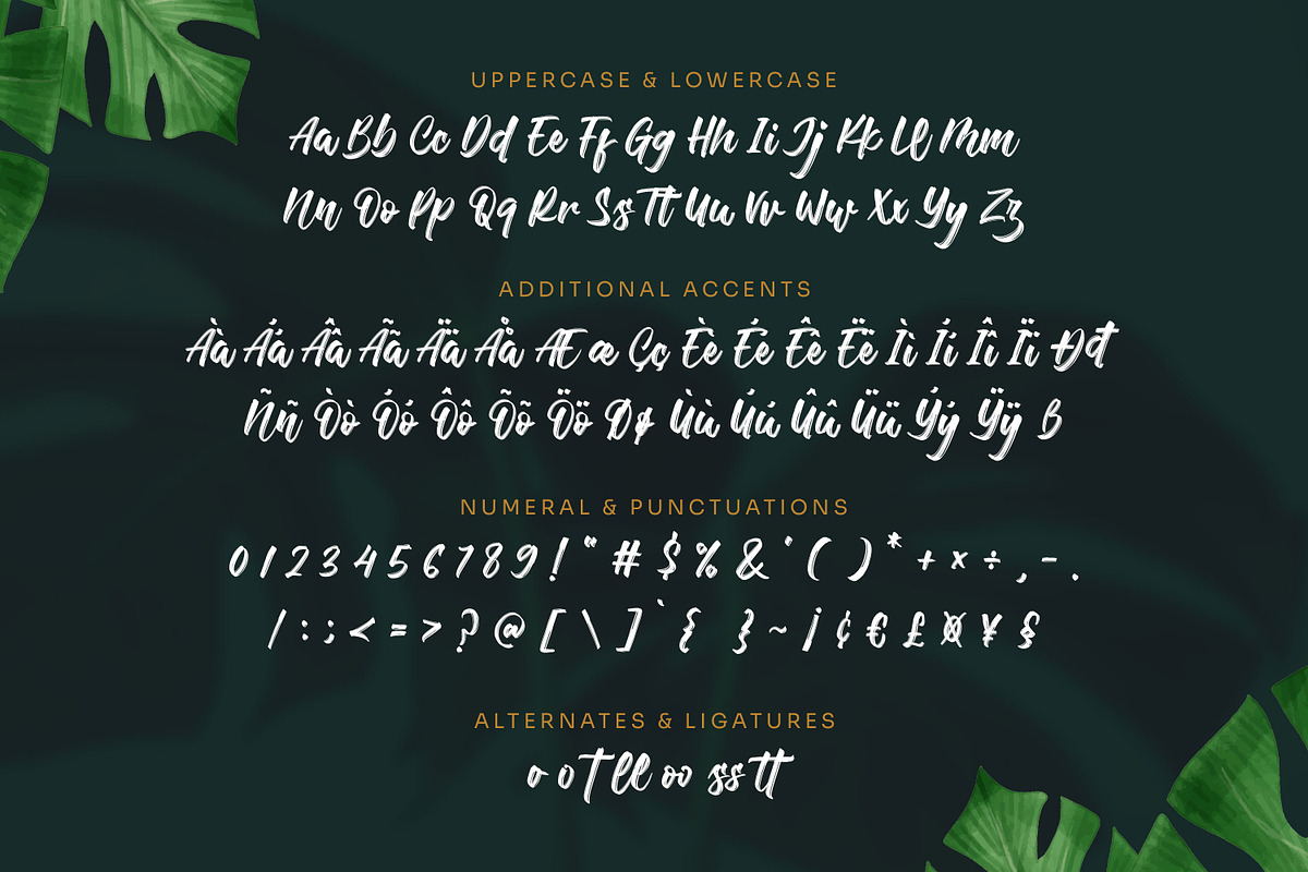 Bettawork - Brush Script Bold, a Script Font by Almarkhatype (Photo 9 of 10)