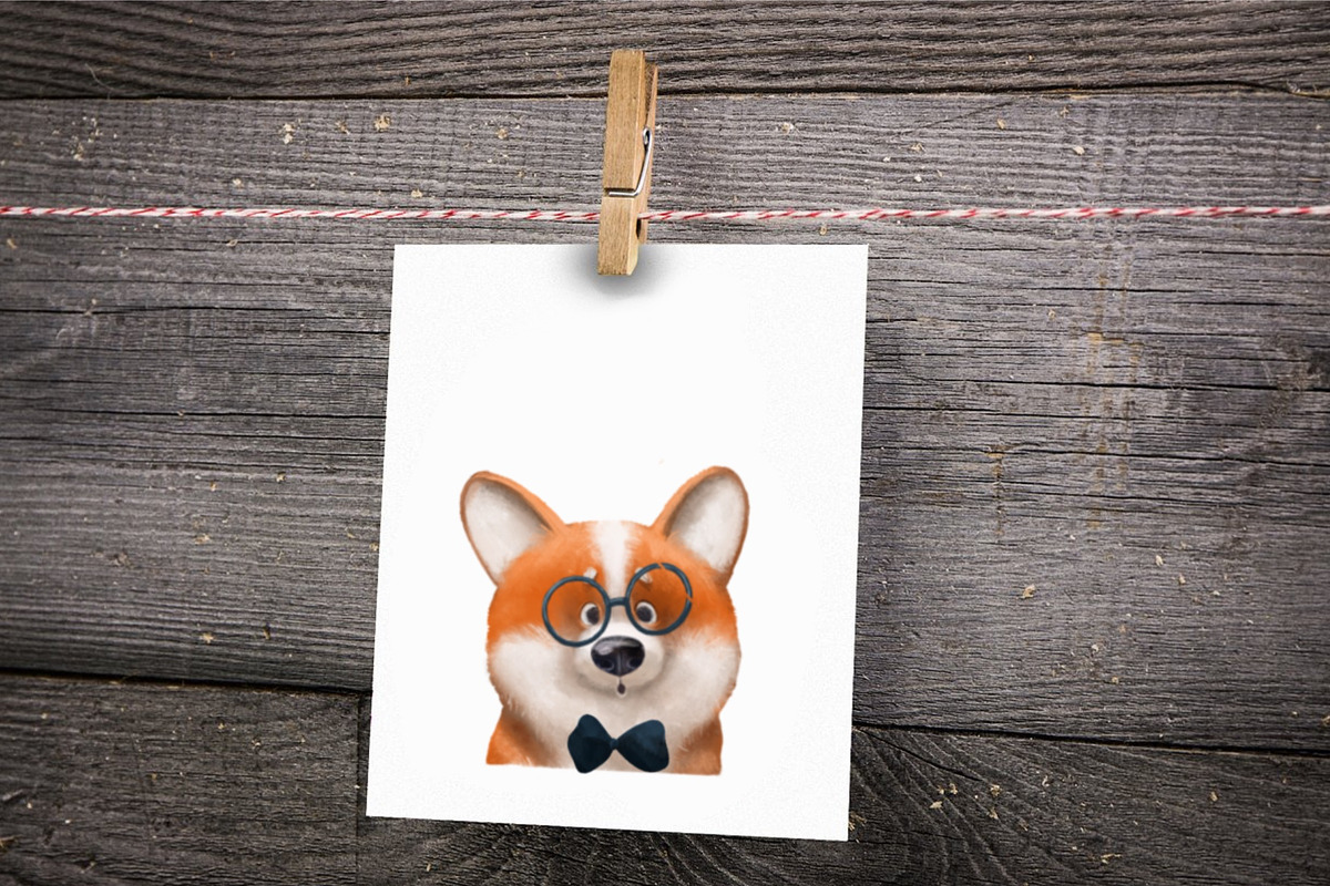Corgi Character. Dog clipart, an Animal Illustration by sheincar (Photo 4 of 5)