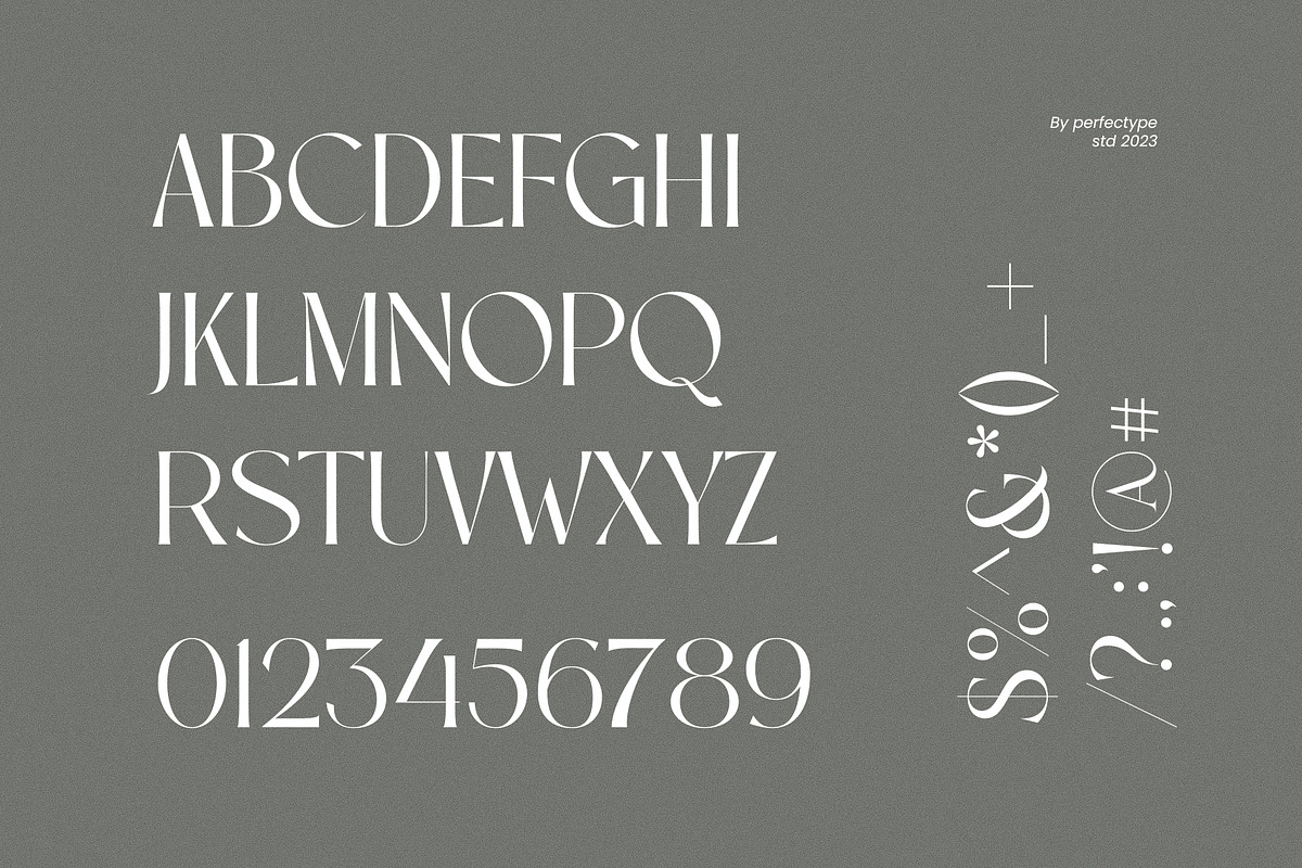 Amera Elegant Serif Font Typeface, a Serif Font by Perfectype (Photo 7 of 7)