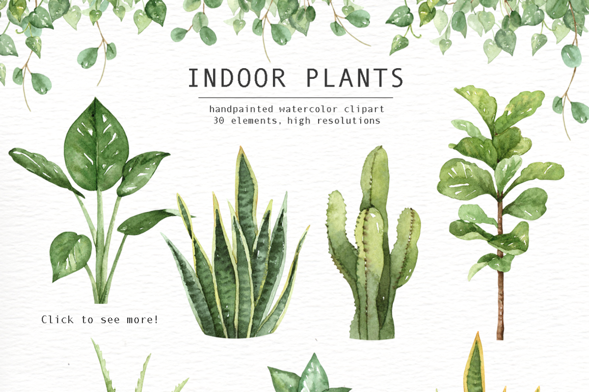 Indoor Plants Watercolor Clipart, an Illustration by everysunsun (Photo 2 of 5)
