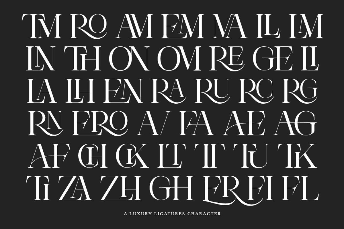 Theron Enroma | 17 Font Style, a Serif Font by IM Studio (Photo 7 of 9)