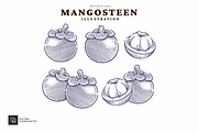 Hand Drawn Mangosteen Illustration, a Food Illustration by putra_purwanto (Thumbnail 1 of 3)