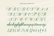 The Bringhton, a Script Font by Straight.co (Thumbnail 9 of 11)