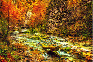 Vintgar gorge, Slovenia, a Nature Photo by Nature and travel