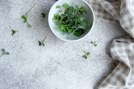 Assortment of micro greens on concrete background, a Food & Drink Photo by Olena Rudo