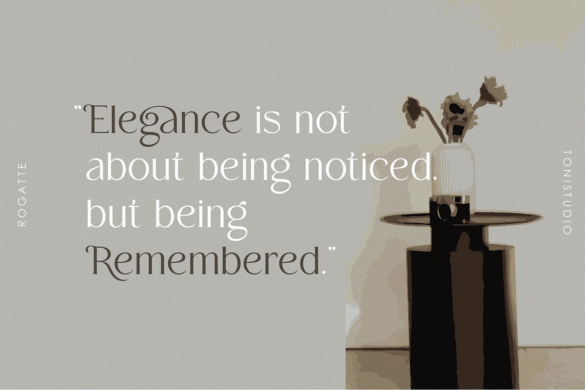 Rogatte || elegant ligature serif, a Serif Font by ToniStudio (Photo 12 of 16)