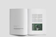 Nature Magazine, a Magazine Template by Alhaytar (Thumbnail 5 of 15)