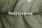Muscat Handwritten Script, a Handwritten Font by Mr.Typeman (Thumbnail 6 of 8)