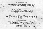 Neoscopic Brush Typeface, a Font by chekart (Thumbnail 5 of 5)