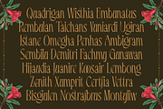 Wrigskan - Luxury Ligature Serif, a Serif Font by Enxyclo Studio (Thumbnail 8 of 15)