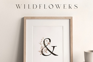 Wildflowers Watercolor Wild Botany